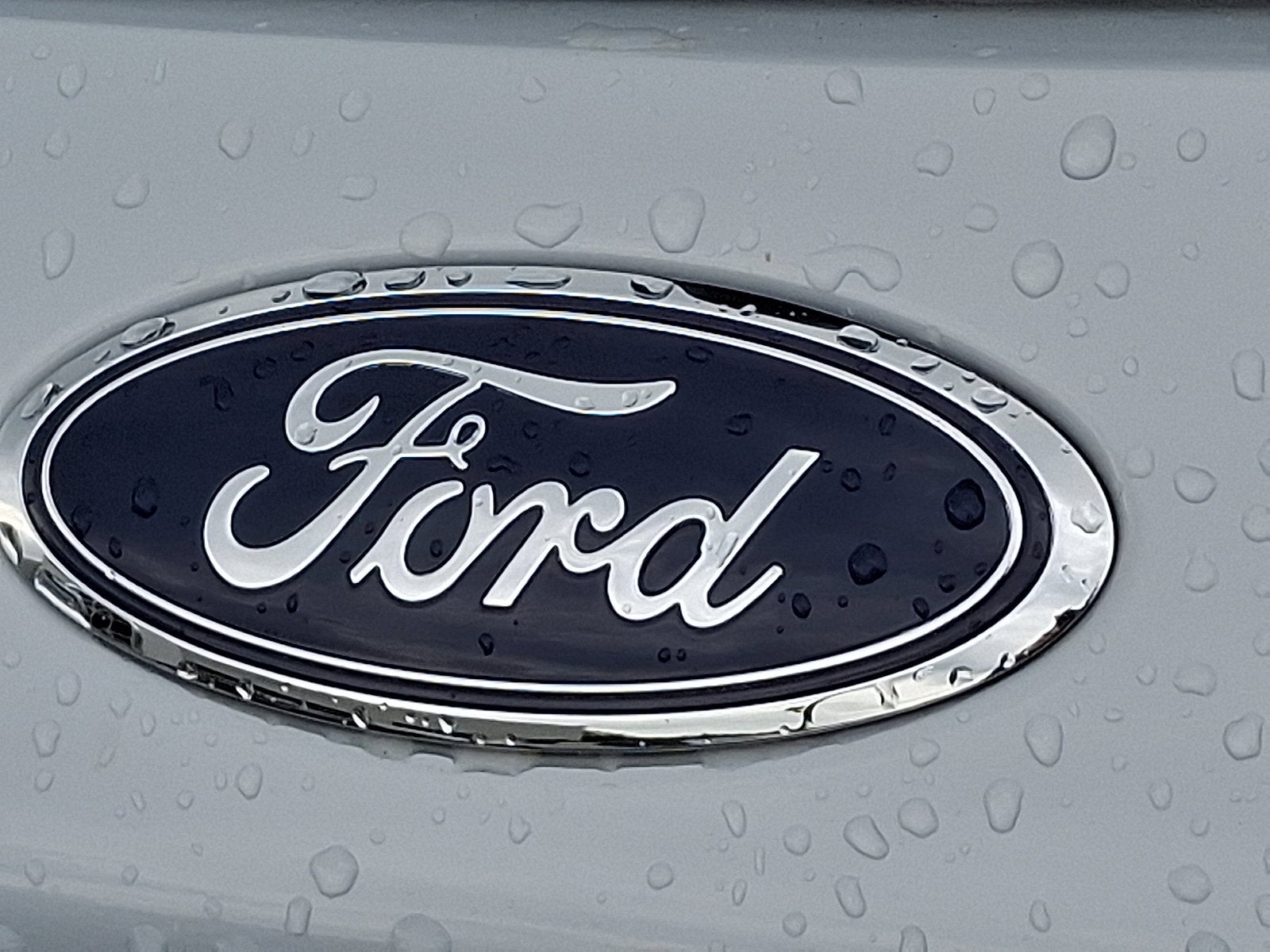 2025 Ford Escape ST-Line Elite